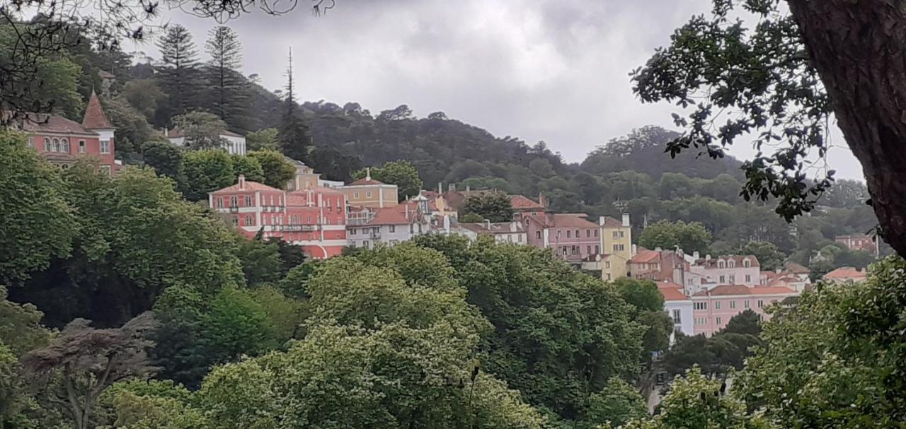 Villa Bela Vista Σίντρα Εξωτερικό φωτογραφία